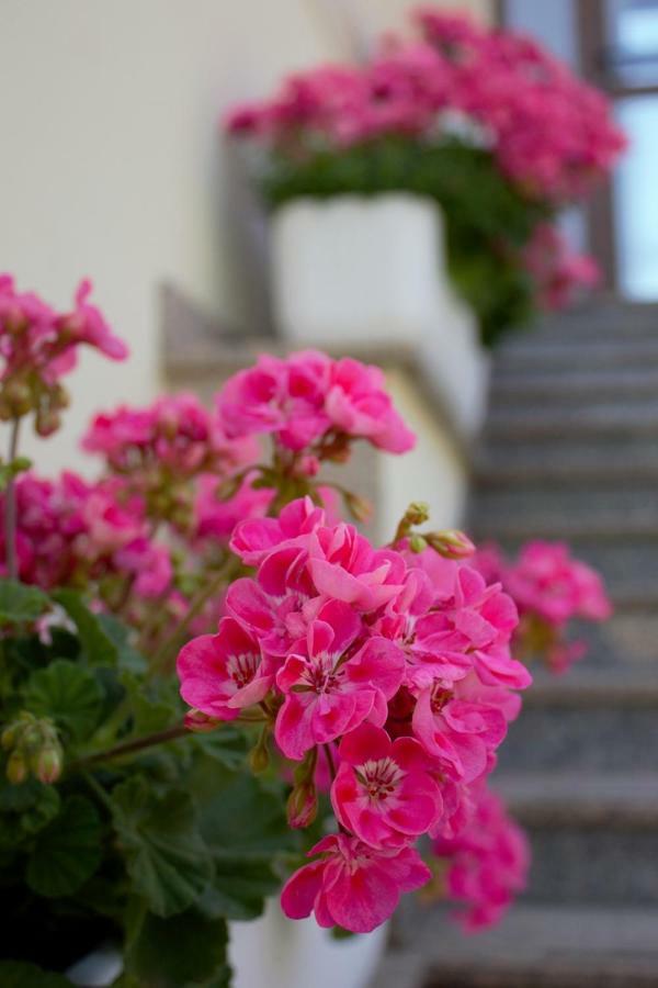 Room Kris With Private Entrance & Private Bathroom Vilanija Exterior photo
